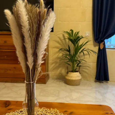 Mystic Flowers & Pool * Għarb